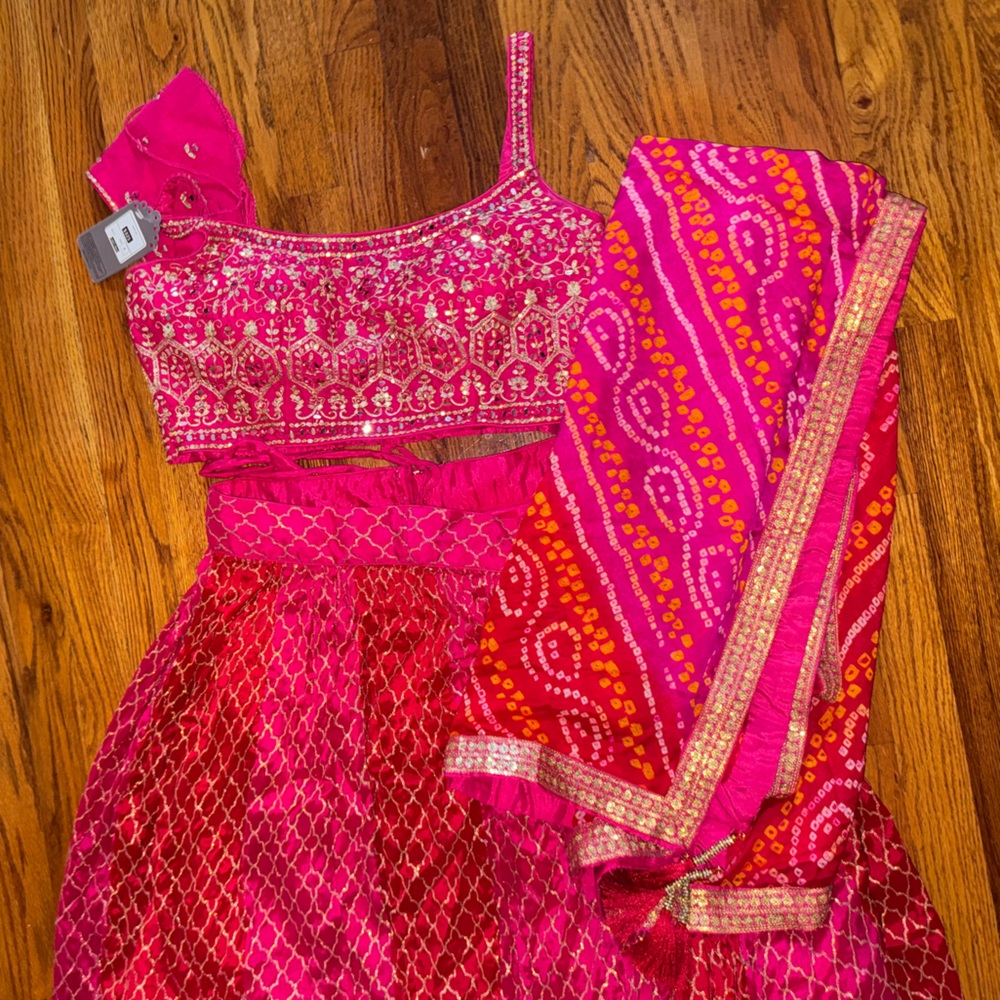 Gorgeous Pink and Red Lehenga